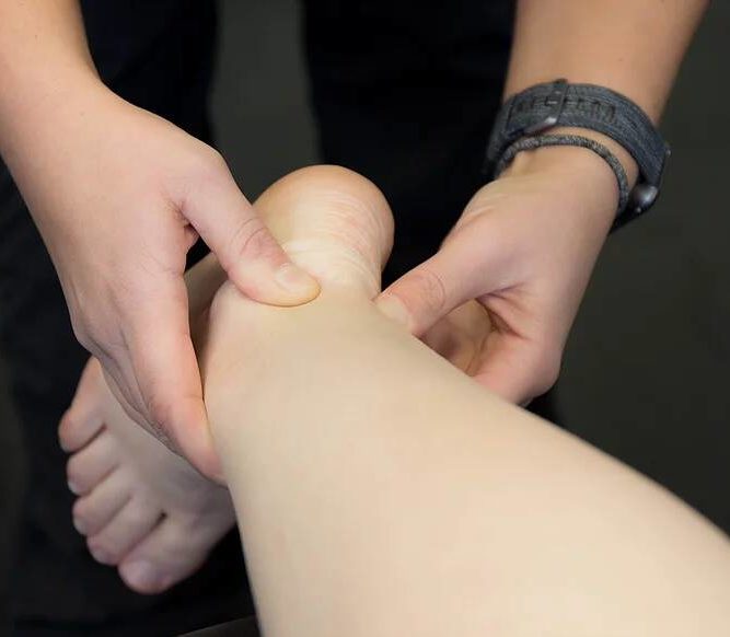 manual therapy of the ankle
