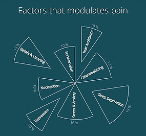 factors that modulates pain chart