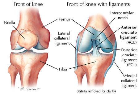 The Difference Between an ACL & MCL Tear