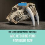 Read more about the article How the Eating Habits of a Saber Tooth Tiger are Affecting the Pain You are Having Right Now