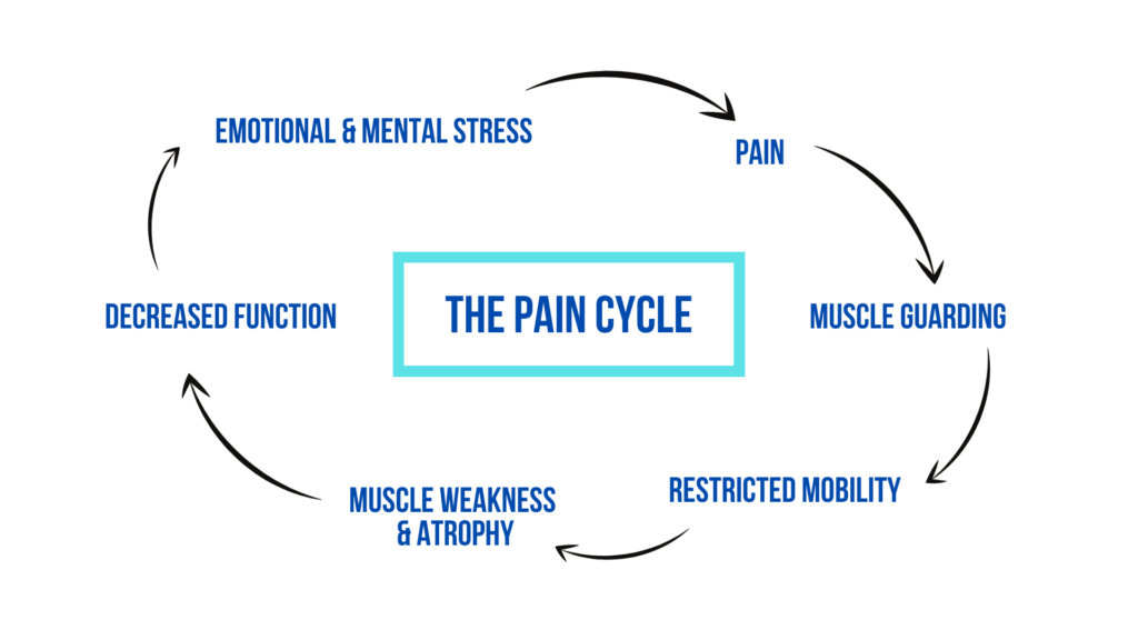 the pain cycle
