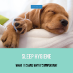 Read more about the article Sleep Hygiene: Why Sleep Hygiene is Important