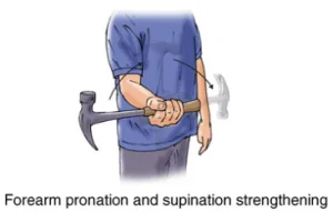 forearm pronation