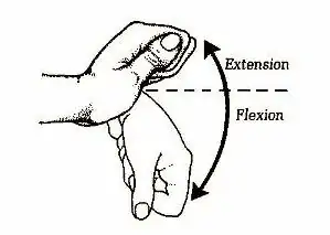 wriste extension