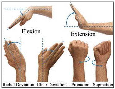 wrist movements