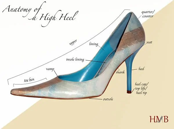 anatomy of high heel
