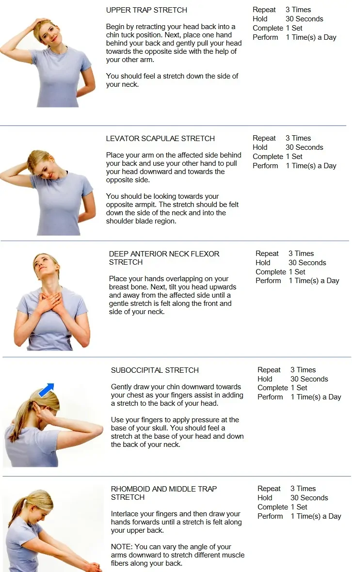 neck stretches